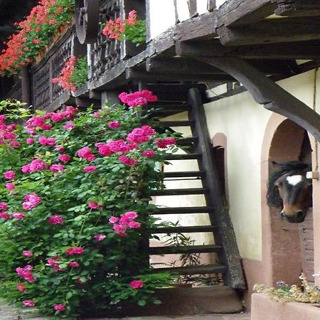 Maison D'Hotes "Au Fil Du Temps" Imbsheim Exterior photo